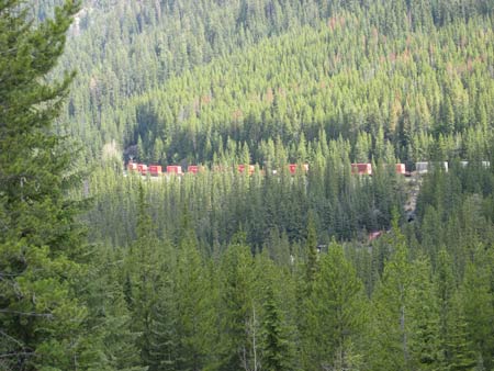 train entering kicking horse tunnels bc