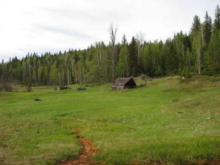 old settlers cabin in wells gray park