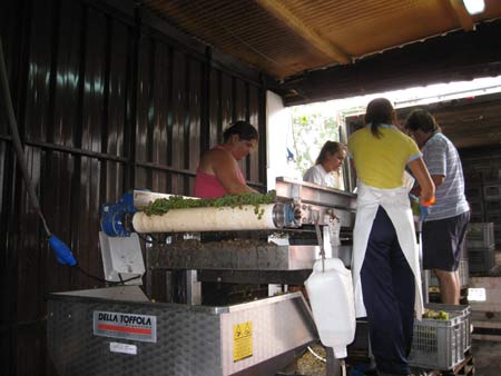 Winery tour at Montevideo