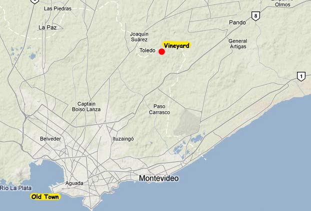 vineyaard map