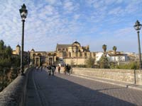 Cordoba from bridge