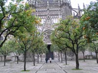Sevilla Cathedral